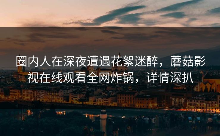 圈内人在深夜遭遇花絮迷醉，蘑菇影视在线观看全网炸锅，详情深扒