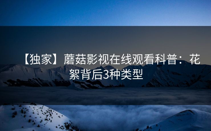 【独家】蘑菇影视在线观看科普：花絮背后3种类型